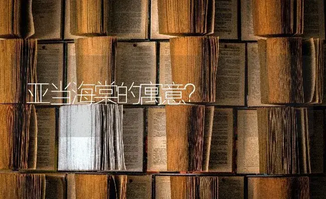 亚当海棠的寓意？ | 绿植常识