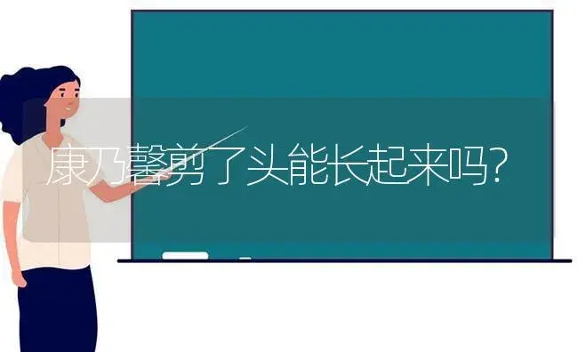 康乃馨剪了头能长起来吗？ | 绿植常识