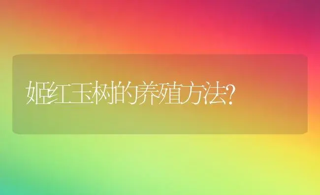 姬红玉树的养殖方法？ | 多肉养殖