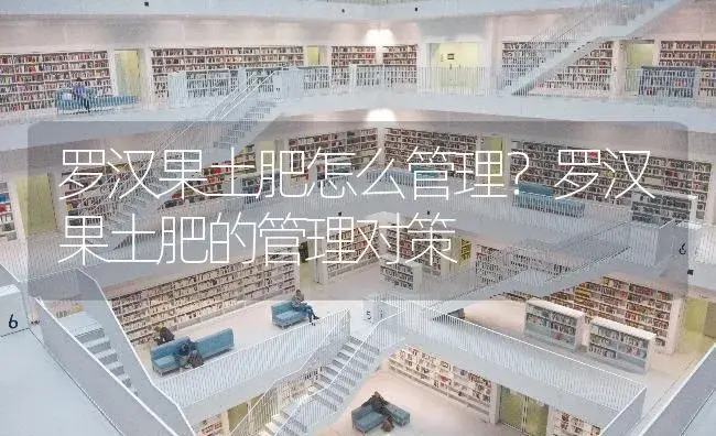 罗汉果土肥怎么管理？罗汉果土肥的管理对策 | 果木种植