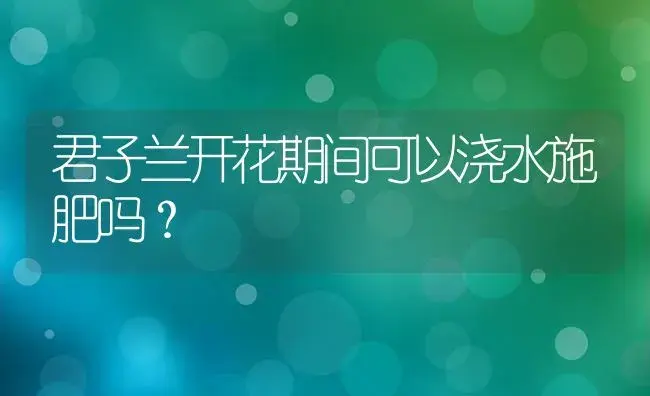 君子兰开花期间可以浇水施肥吗？ | 绿植常识