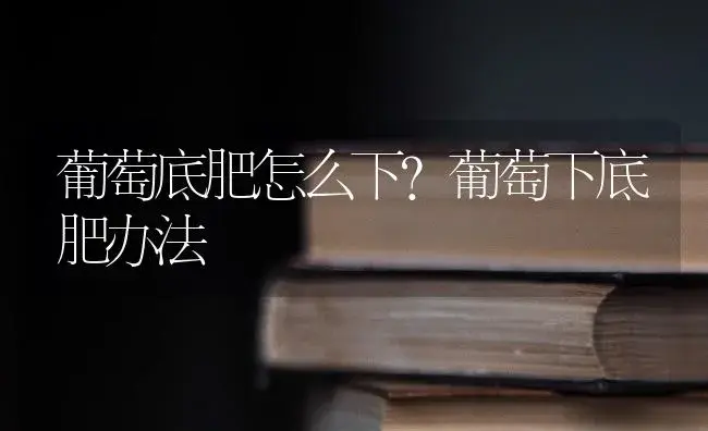 葡萄底肥怎么下？葡萄下底肥办法 | 果木种植