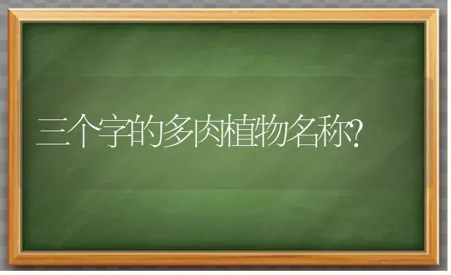 三个字的多肉植物名称？ | 多肉养殖