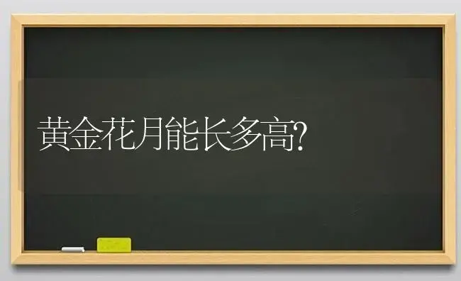 黄金花月能长多高？ | 多肉养殖