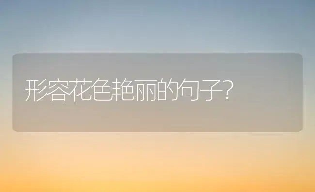 形容花色艳丽的句子？ | 绿植常识