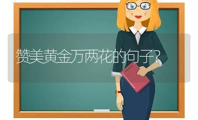 赞美黄金万两花的句子？ | 绿植常识