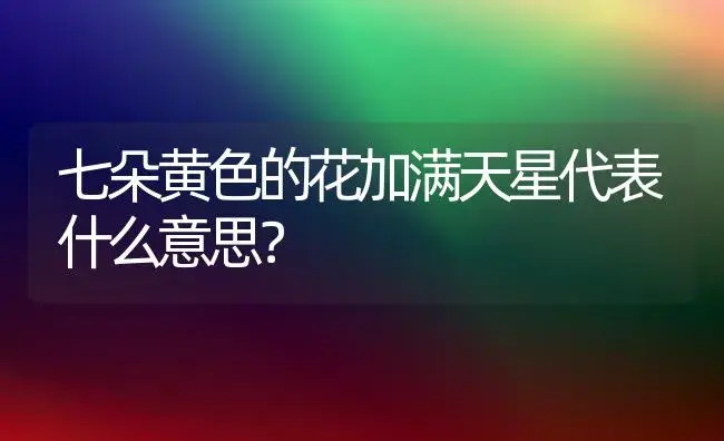 七朵黄色的花加满天星代表什么意思？ | 绿植常识