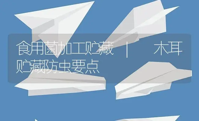 木耳贮藏防虫要点 | 菌菇种植