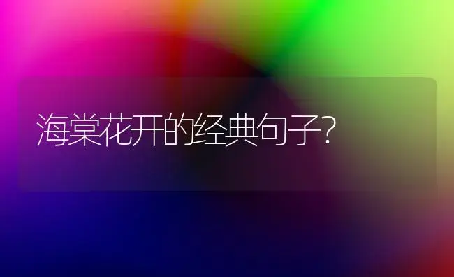 海棠花开的经典句子？ | 绿植常识