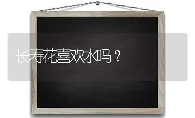 长寿花喜欢水吗？ | 多肉养殖