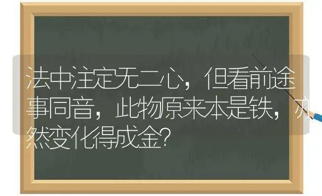 法中注定无二心,但看前途事同音,此物原来本是铁,亦然变化得成金？ | 多肉养殖