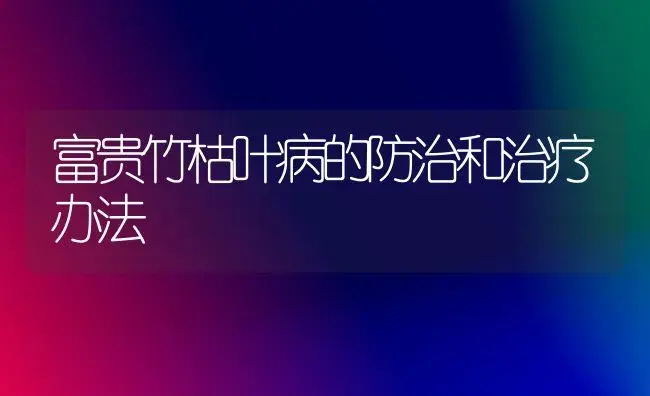 富贵竹枯叶病的防治和治疗办法 | 家庭养花