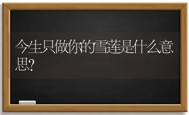 今生只做你的雪莲是什么意思？ | 多肉养殖