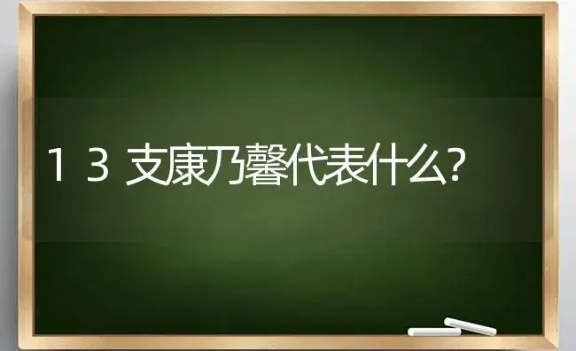 13支康乃馨代表什么？ | 绿植常识