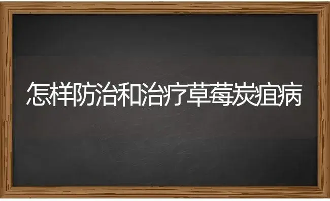 怎样防治和治疗草莓炭疽病 | 特种种植