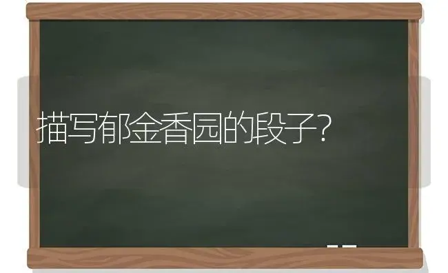 描写郁金香园的段子？ | 绿植常识