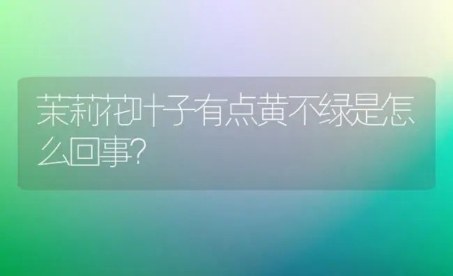 天后月季养殖方法视频？ | 绿植常识