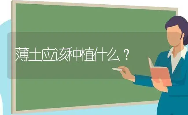 薄土应该种植什么？ | 多肉养殖