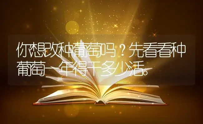 你想改种葡萄吗？先看看种葡萄一年得干多少活。 | 果木种植