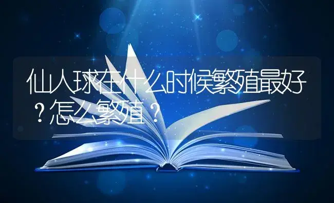 仙人球在什么时候繁殖最好？怎么繁殖？ | 多肉养殖