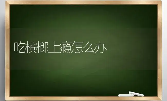 吃槟榔上瘾怎么办 | 果木种植