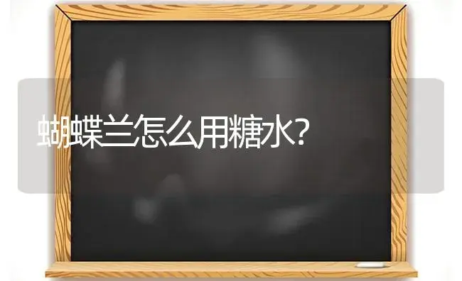 蝴蝶兰怎么用糖水？ | 绿植常识