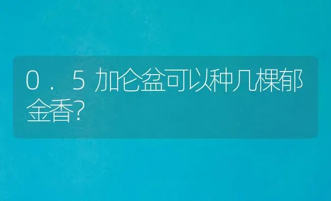 0.5加仑盆可以种几棵郁金香？ | 绿植常识