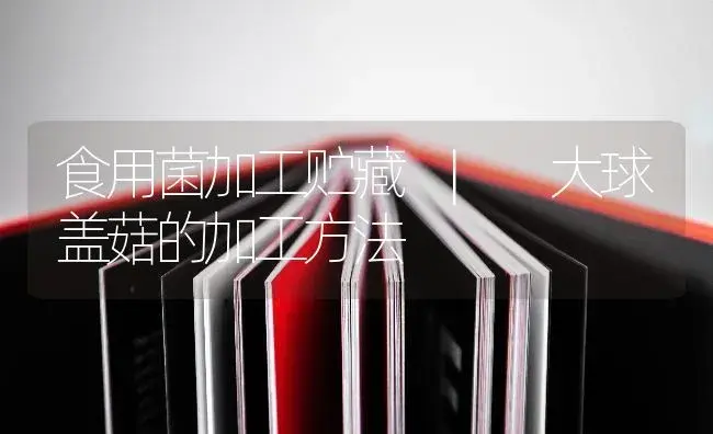 大球盖菇的加工方法 | 菌菇种植