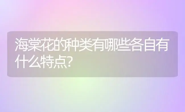 海棠花的种类有哪些各自有什么特点？ | 绿植常识