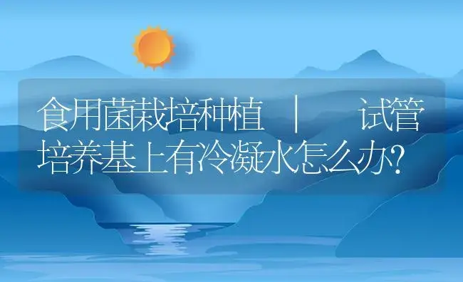 试管培养基上有冷凝水怎么办？ | 菌菇种植