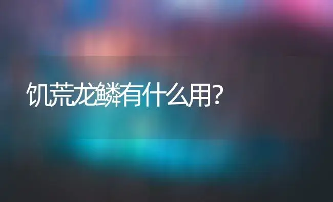 饥荒龙鳞有什么用？ | 多肉养殖