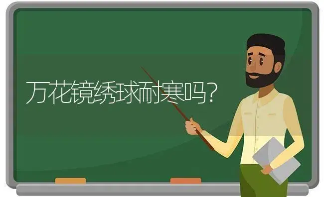 万花镜绣球耐寒吗？ | 绿植常识