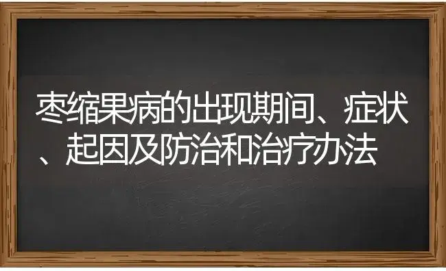 枣缩果病的出现期间、症状、起因及防治和治疗办法 | 果木种植