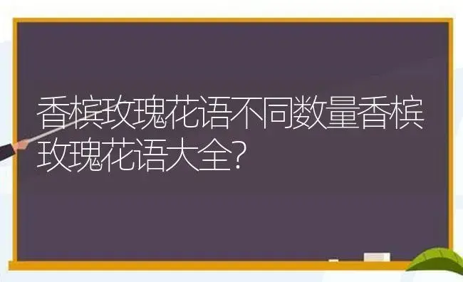 香槟玫瑰花语不同数量香槟玫瑰花语大全？ | 绿植常识