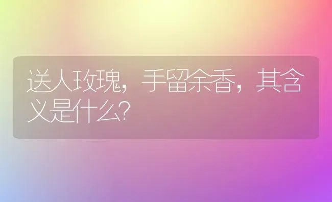 送人玫瑰，手留余香，其含义是什么？ | 绿植常识