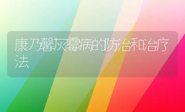 康乃馨灰霉病的防治和治疗法 | 家庭养花