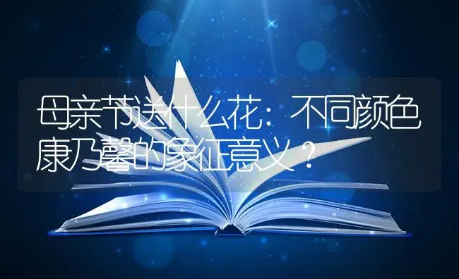 母亲节送什么花：不同颜色康乃馨的象征意义？ | 绿植常识