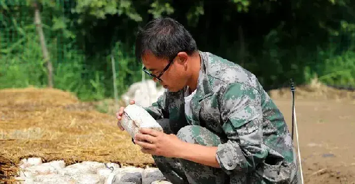 甘肃清水：食用菌打出产业发展组合拳 激发乡村振兴新活力