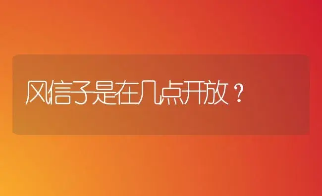 风信子是在几点开放？ | 绿植常识