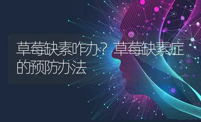 草莓缺素咋办？草莓缺素症的预防办法 | 果木种植