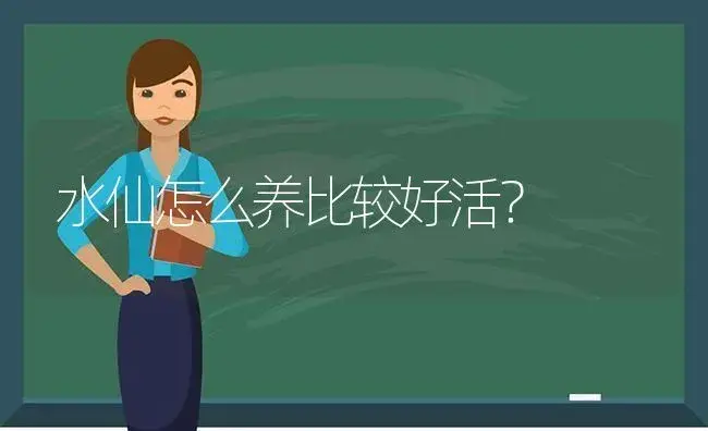 水仙怎么养比较好活？ | 绿植常识