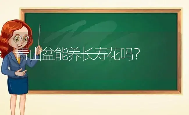 青山盆能养长寿花吗？ | 多肉养殖