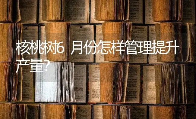 核桃树6月份怎样管理提升产量？ | 果木种植