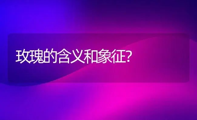 玫瑰的含义和象征？ | 绿植常识