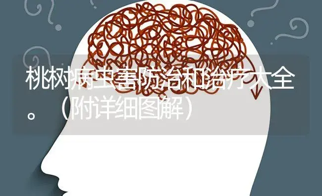 桃树病虫害防治和治疗大全。（附详细图解） | 果木种植