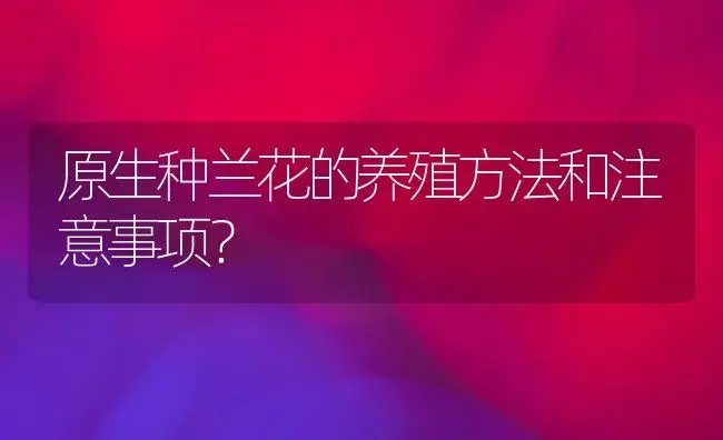 原生种兰花的养殖方法和注意事项？ | 绿植常识