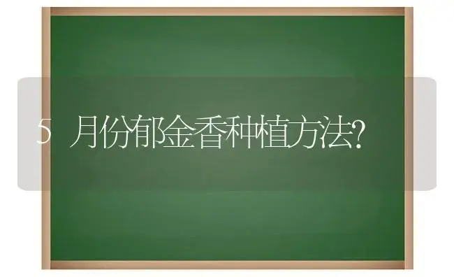 5月份郁金香种植方法？ | 绿植常识