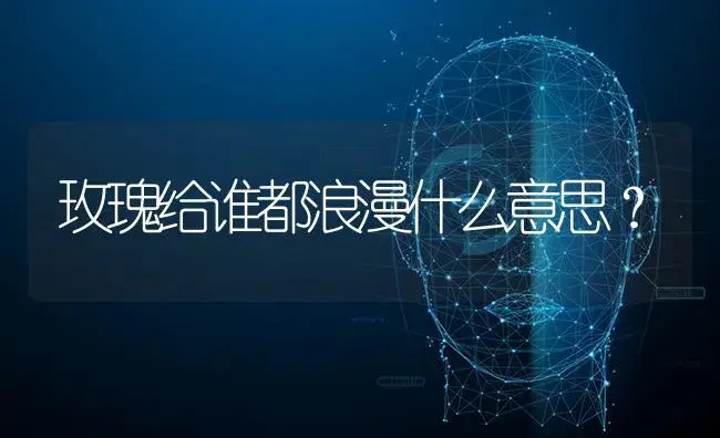 蝴蝶兰的作用有哪些？寓意有什么？ | 绿植常识