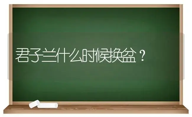 君子兰什么时候换盆？ | 绿植常识