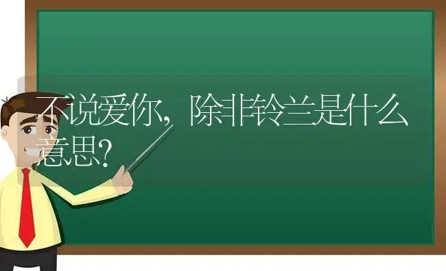 不说爱你，除非铃兰是什么意思？ | 绿植常识